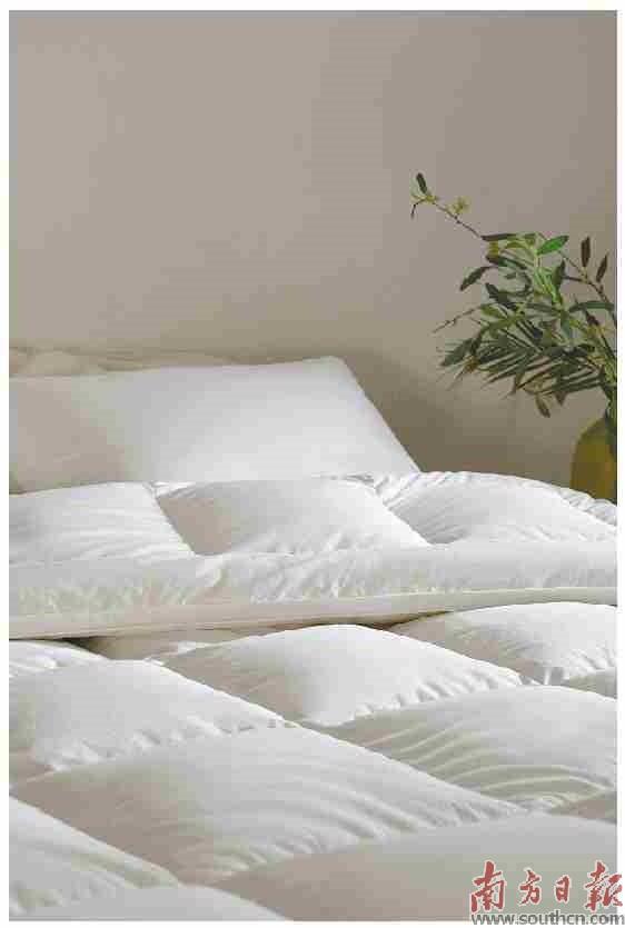 小羽毛 有大目標 向百億產值進發