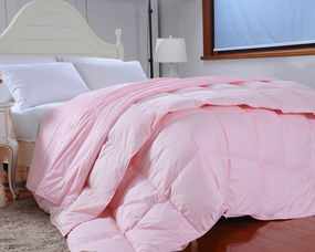 羽絨被的價格一般是多少 通過成本看羽絨被價格