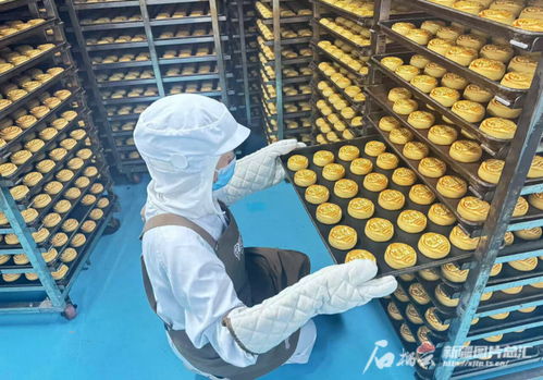 中秋佳節將至，烏魯木齊食品與羽絨制品企業雙線并進迎忙季